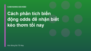 Read more about the article Cách phân tích biến động odds để nhận biết kèo thơm tối nay