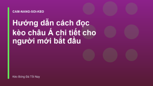 Read more about the article Hướng dẫn cách đọc kèo châu Á chi tiết cho người mới bắt đầu